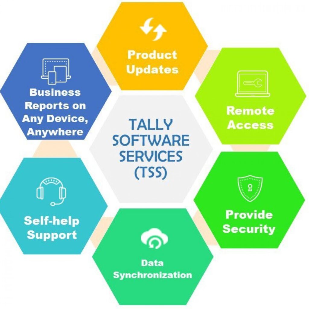 Tally Software Services in Indiranagar